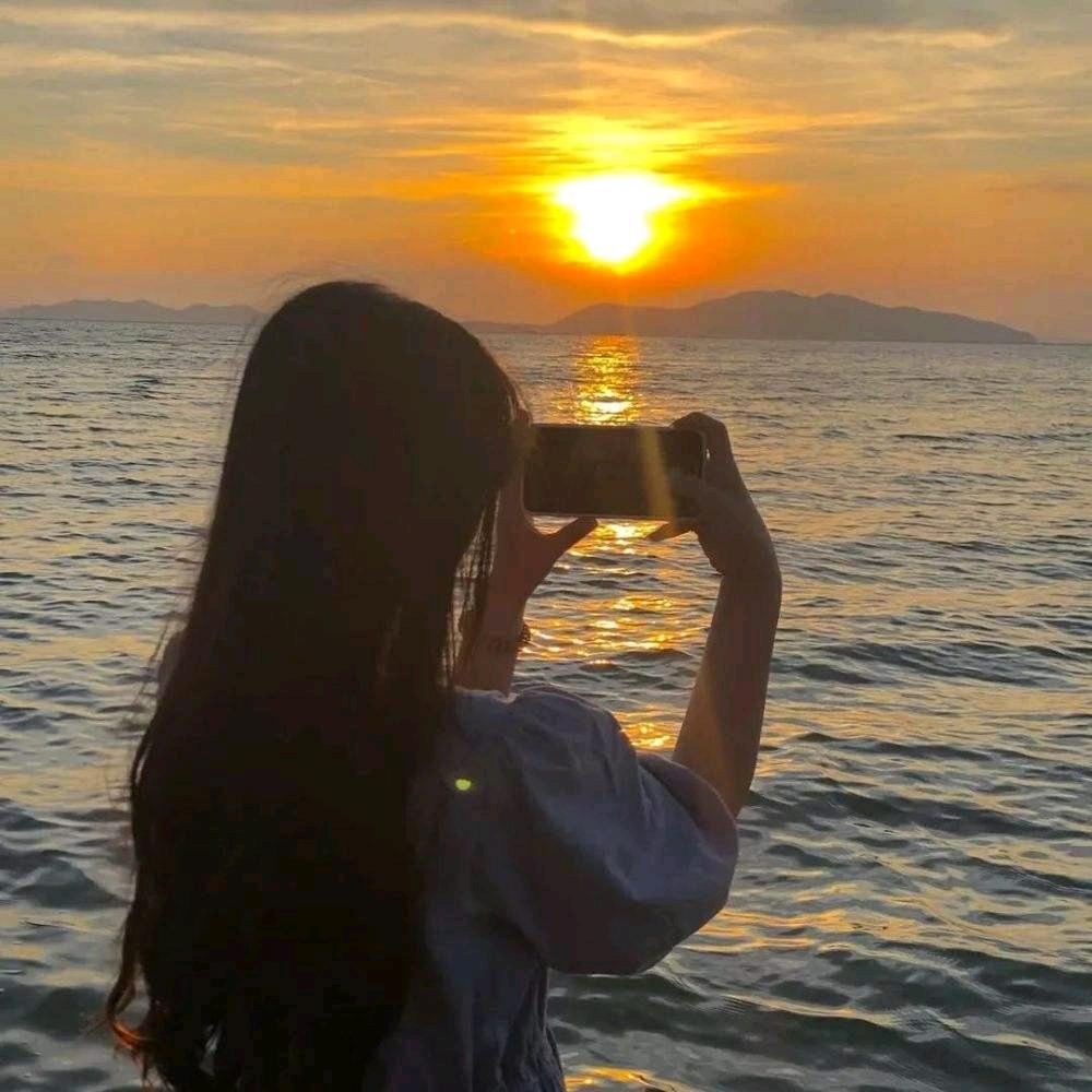 海草