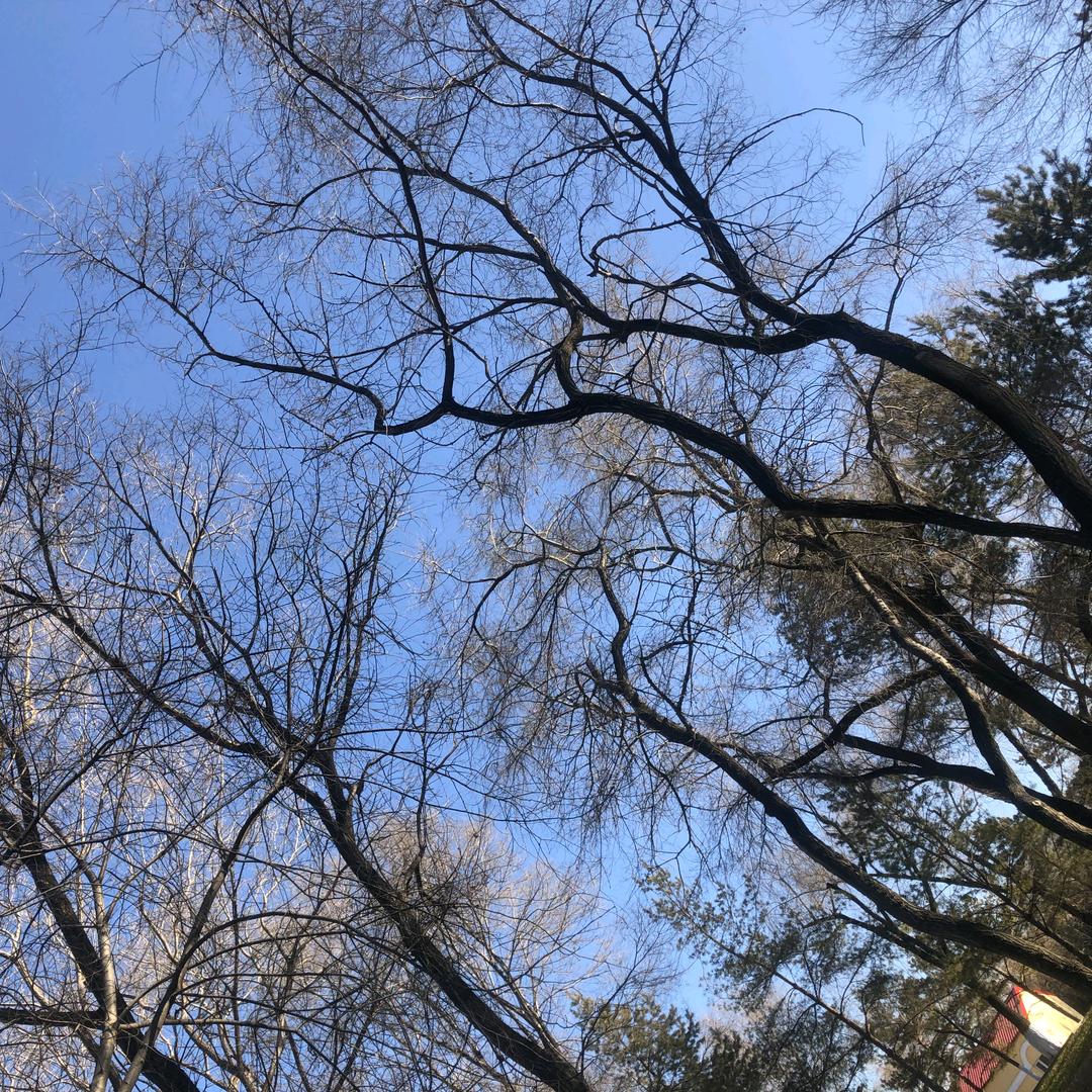 好物自用分享