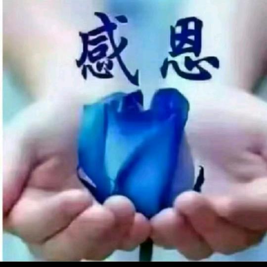 博越哥哥