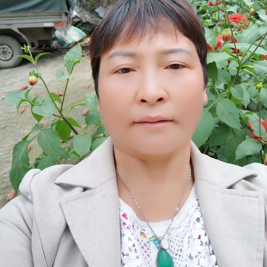 张家二小姐