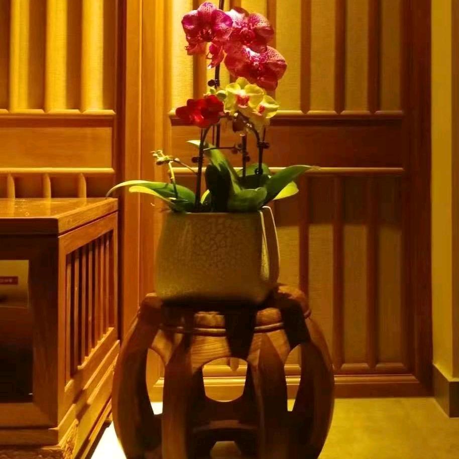 梨然红木家具