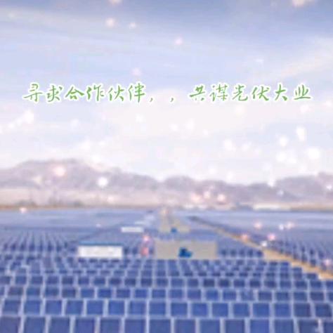 郑锦锋海南新能源有限公司