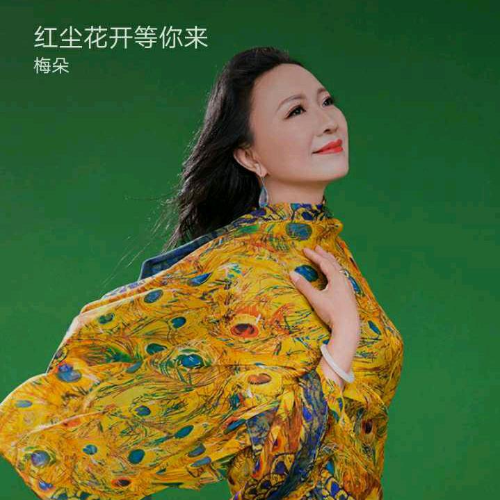 转身留下我的泪