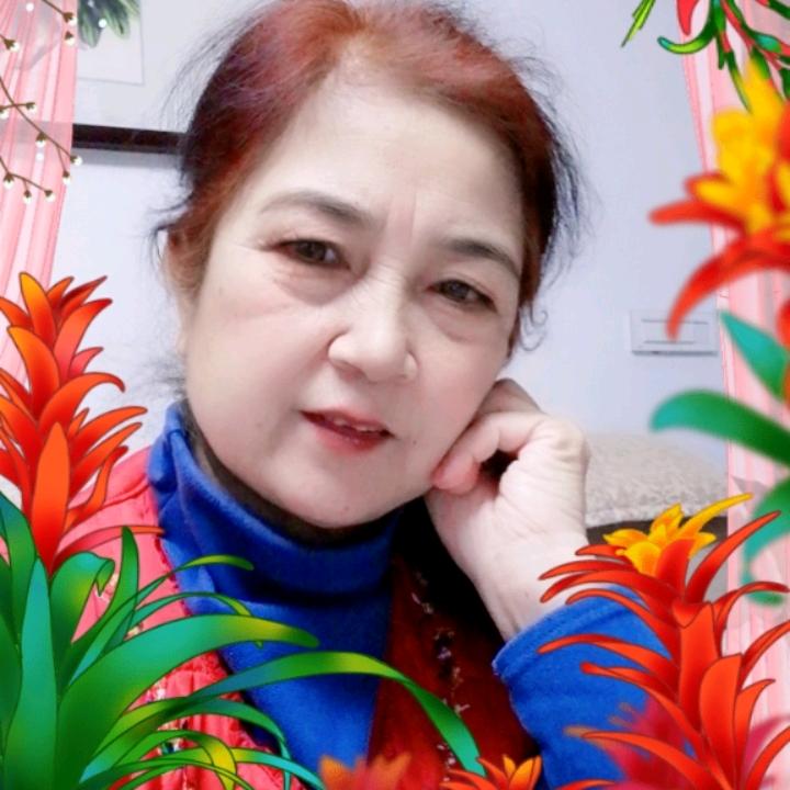 美丽的菊花