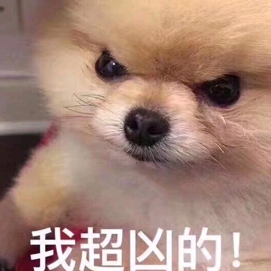 小磊哥哥呦
