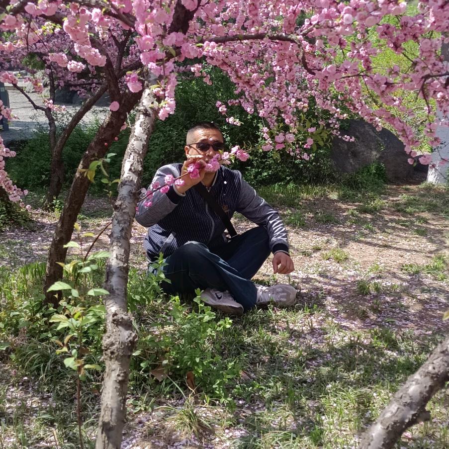 曹文