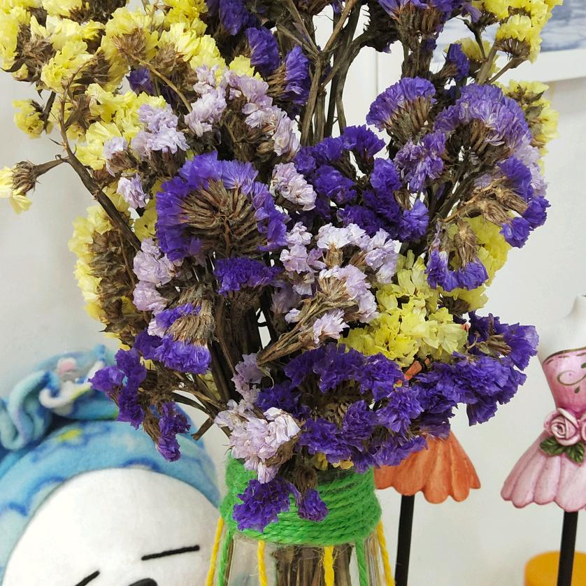 绿叶开心玫瑰