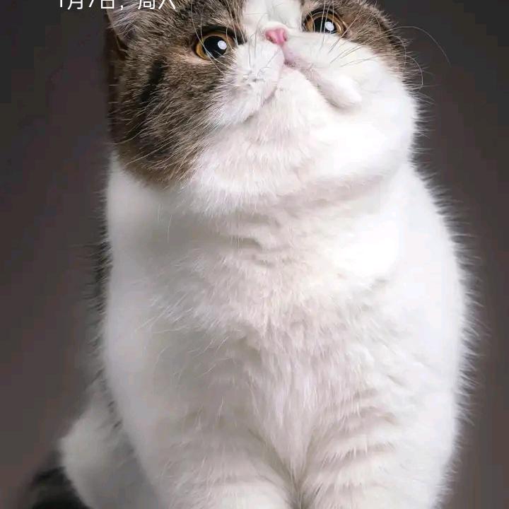 陌然✪ω✪一笑