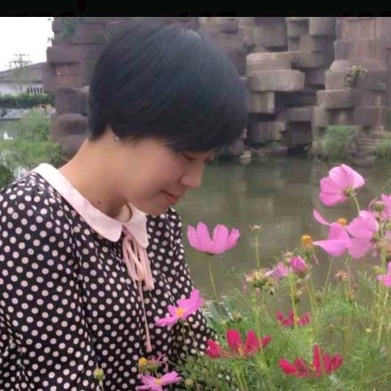 燕归来