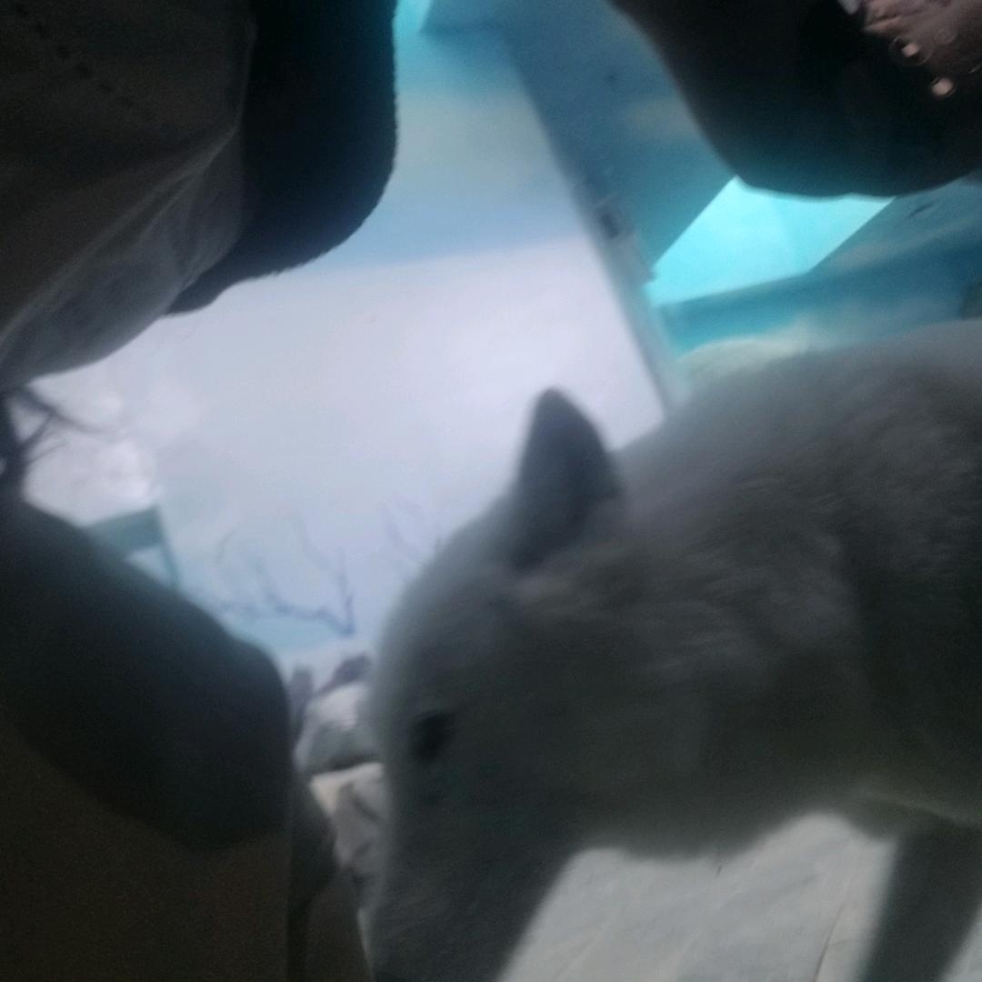 我的电脑