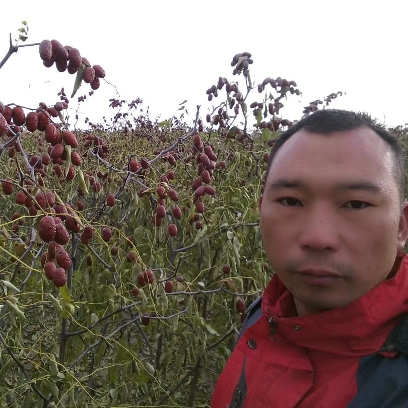 叶县果臻好商贸行