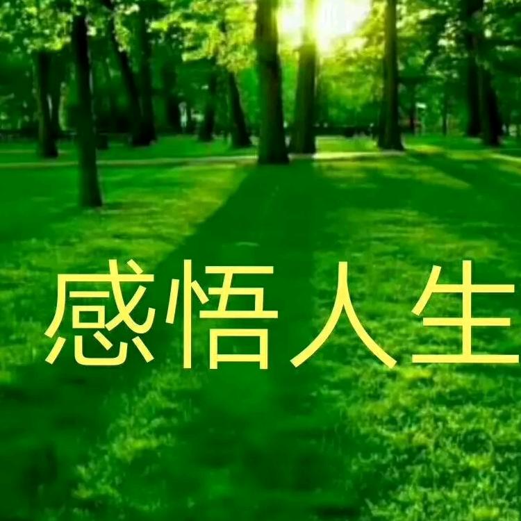 阳光