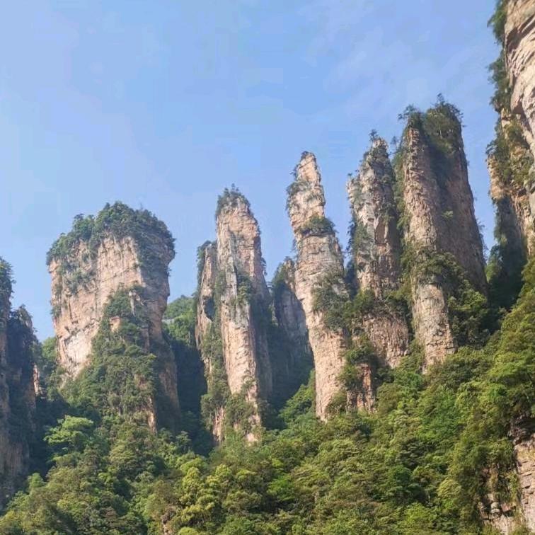 海华春梦