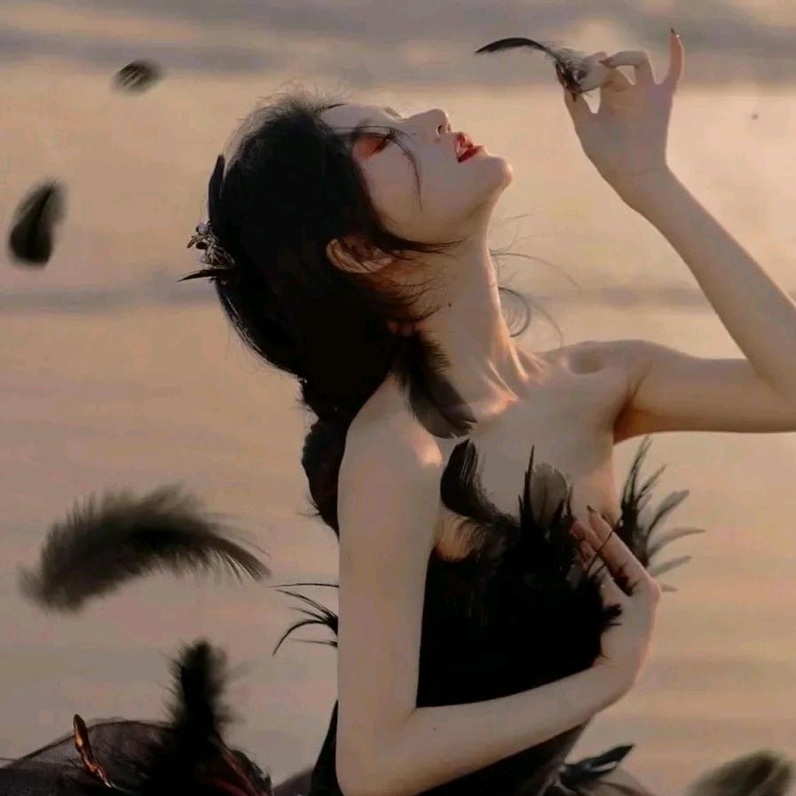 一兮美美D㎡