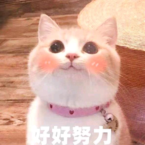 我曾是少年