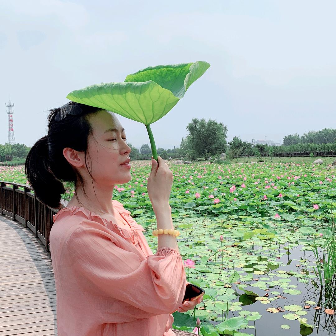 🍃楚蕴姐姐