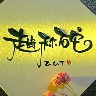 赵称砣