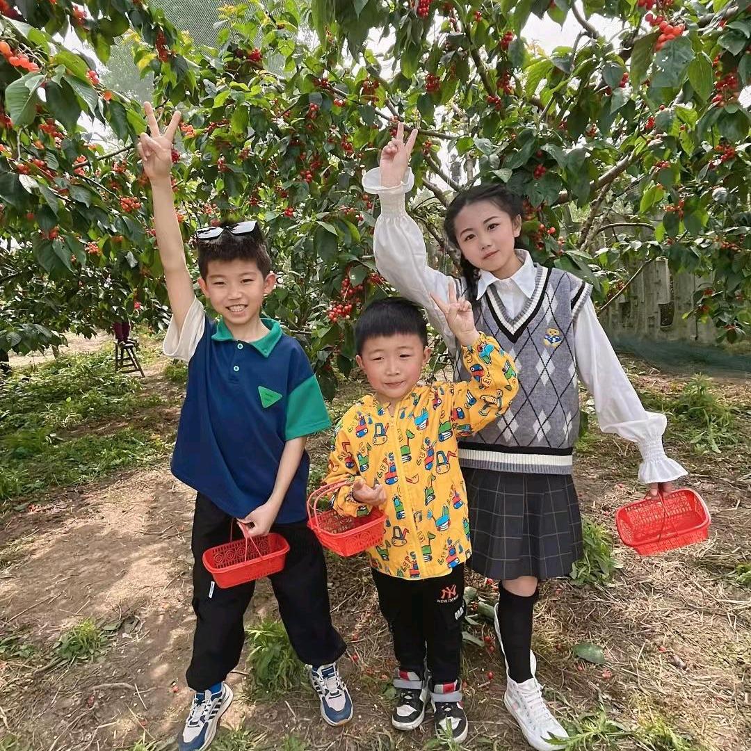 幸福一家人，夏阿姨