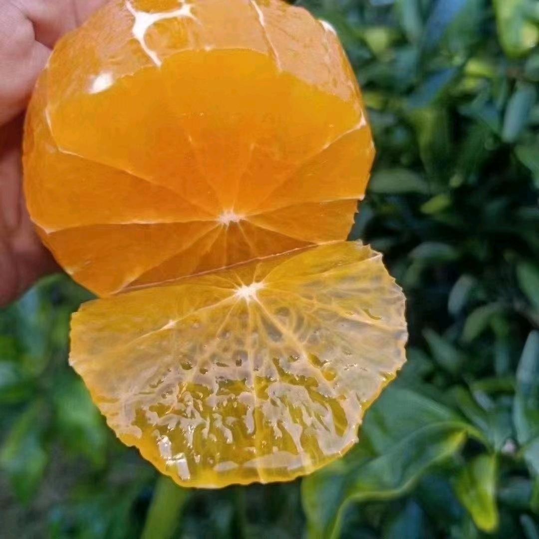 江安县三合果业（肖华）