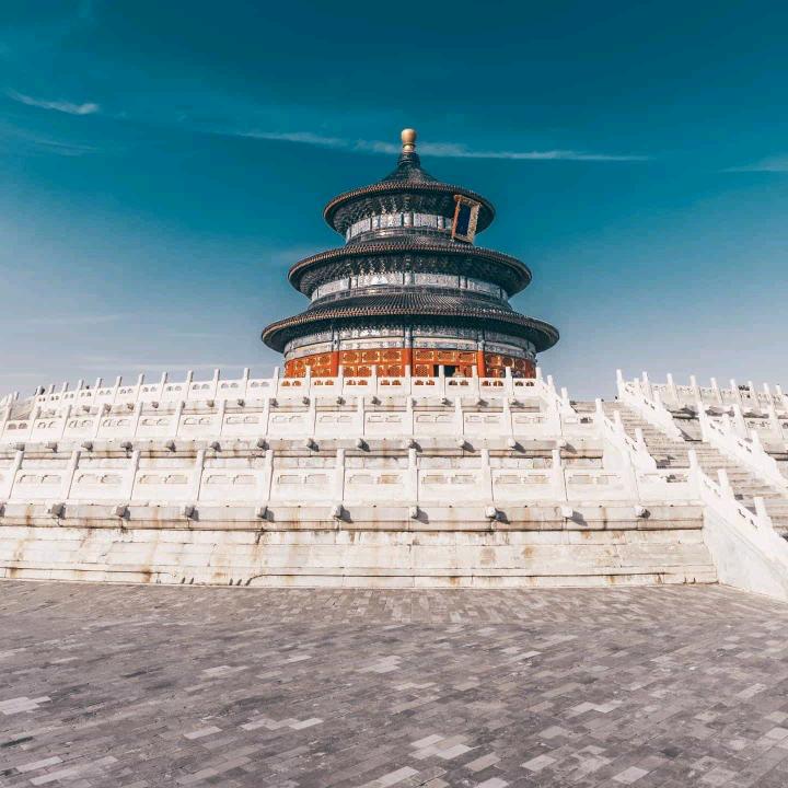 琴