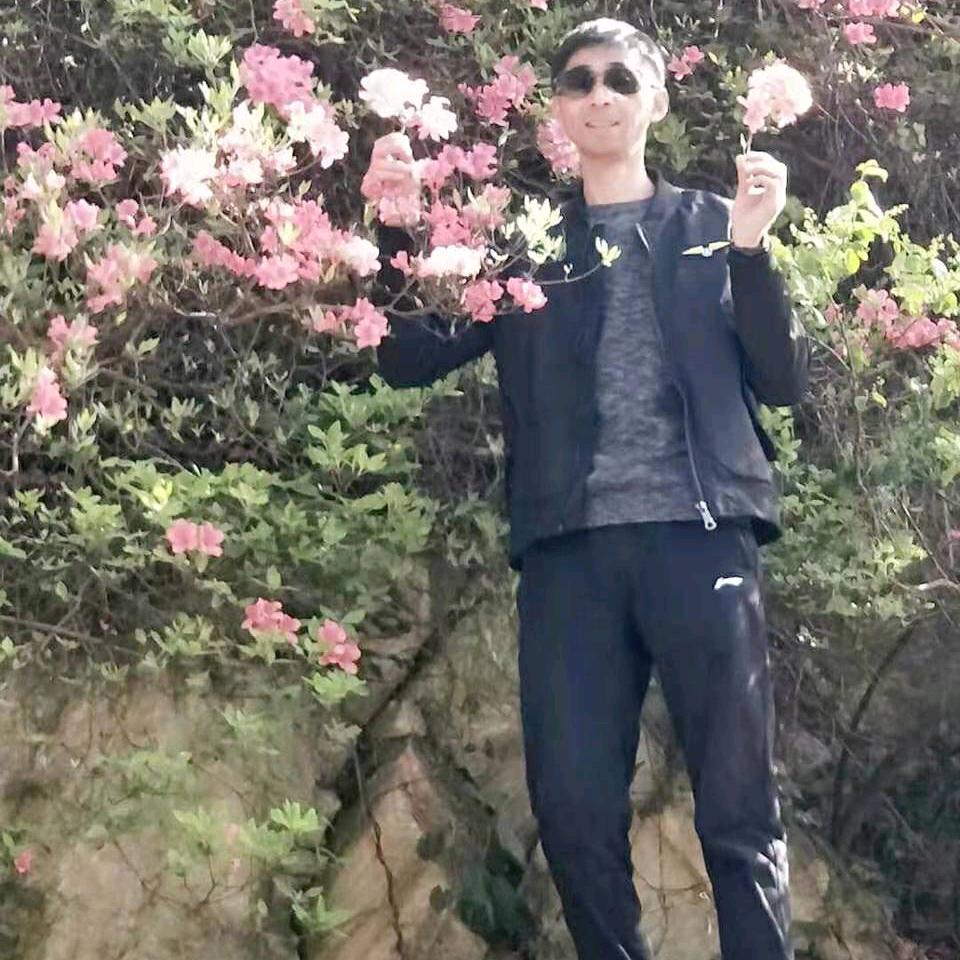 随风