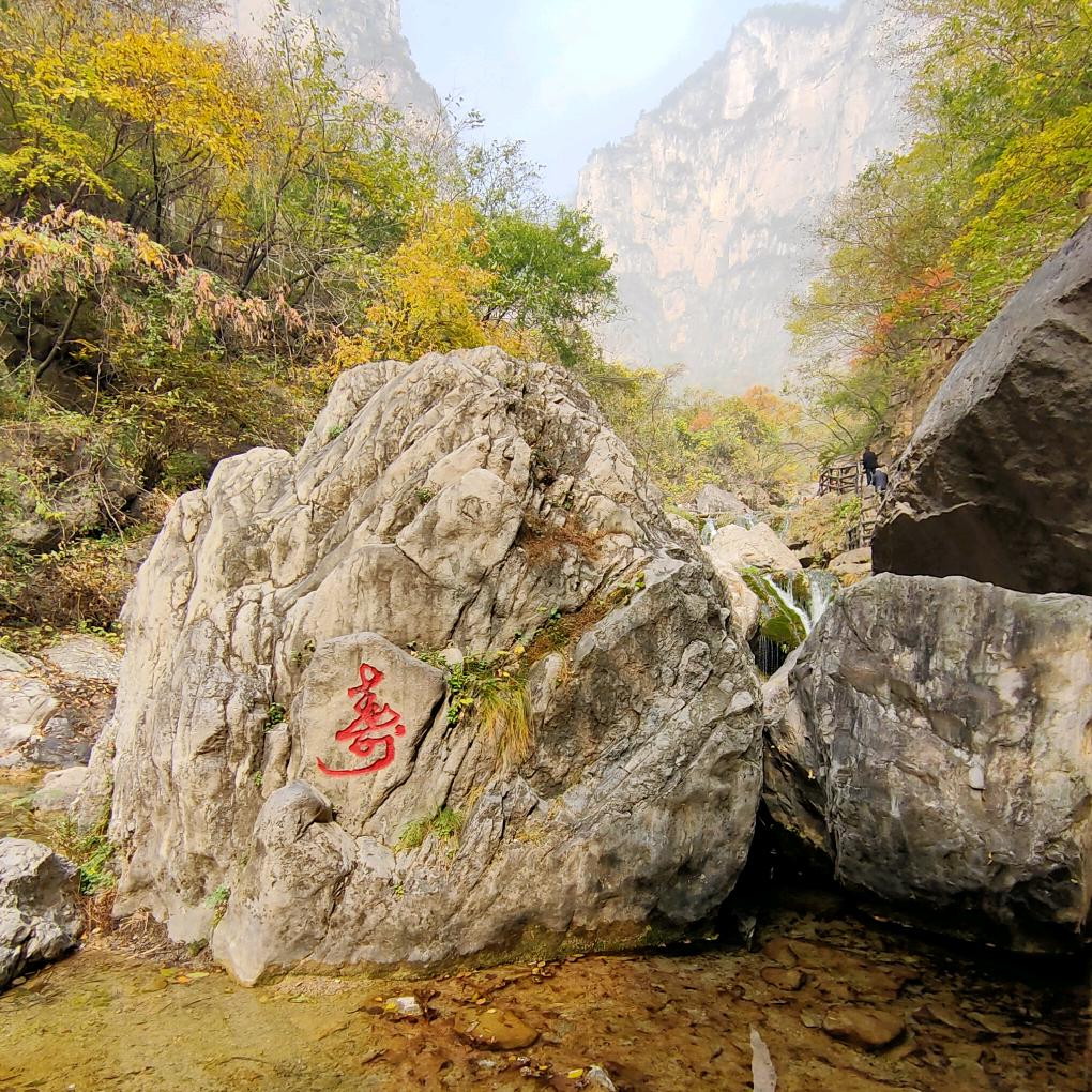 爱歌