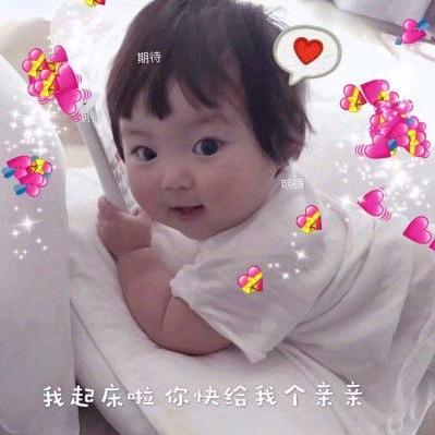 纯宝