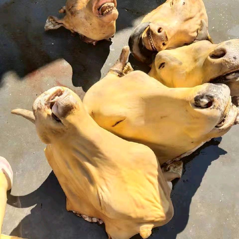 羊杂 牛杂产品大全😎