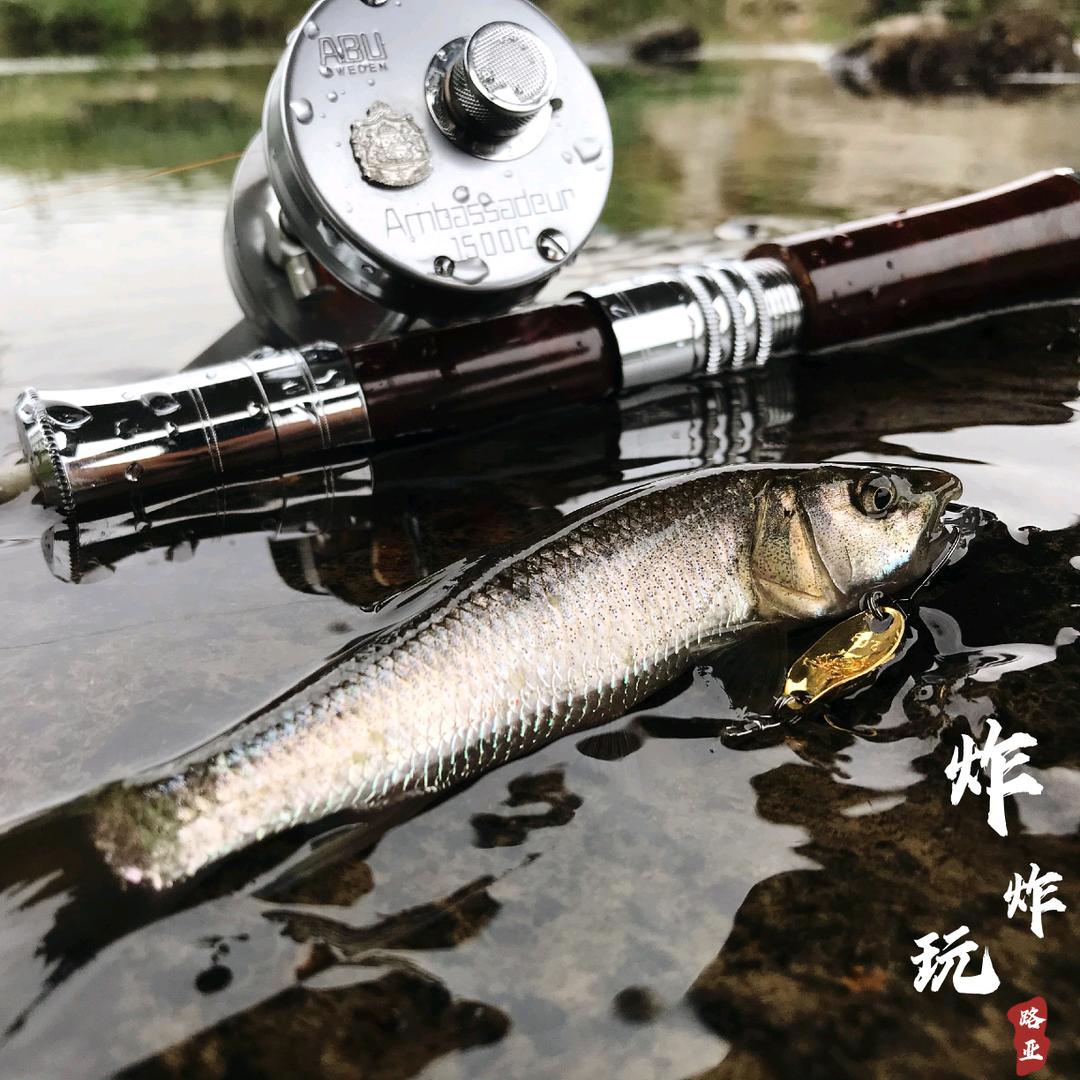 炸炸玩路亚