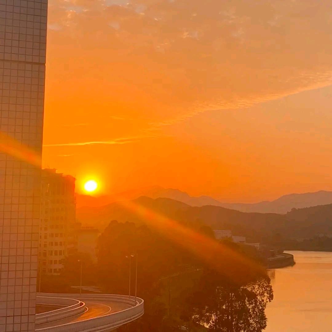 予你清欢
