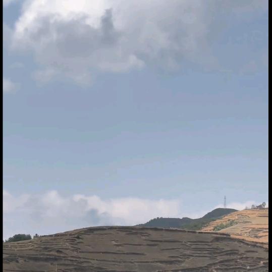 通嘠