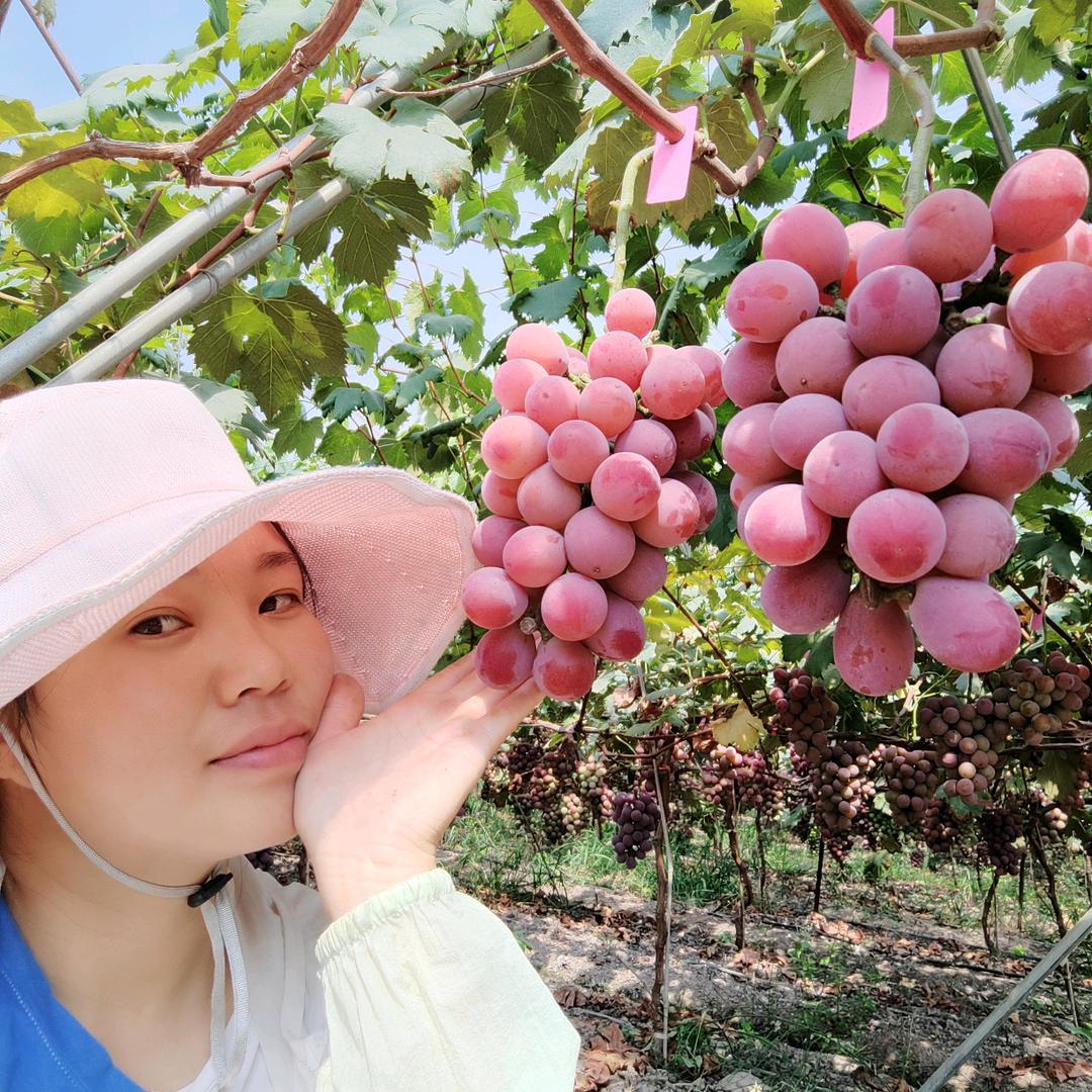 西昌葡萄妹儿