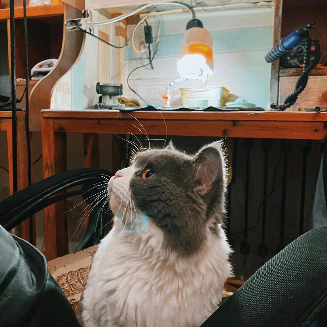 好色紫涂