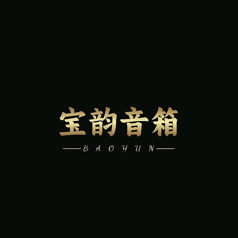 宝韵音箱(小龙)