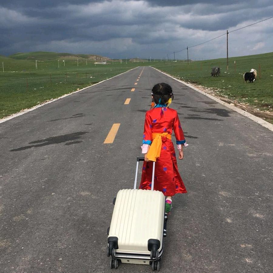 鑫鑫
