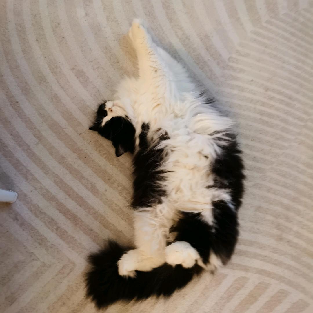 意