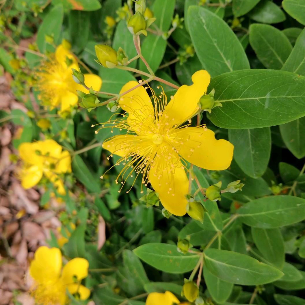 春暖花开