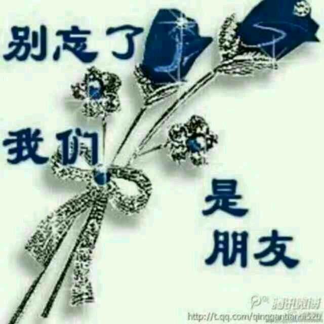 星光璀璨