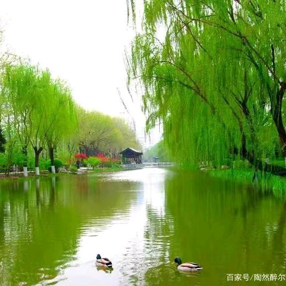 大俊俊