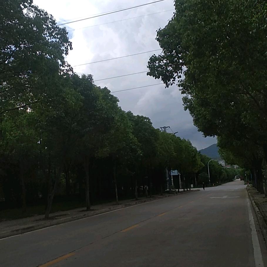 小可爱有理想