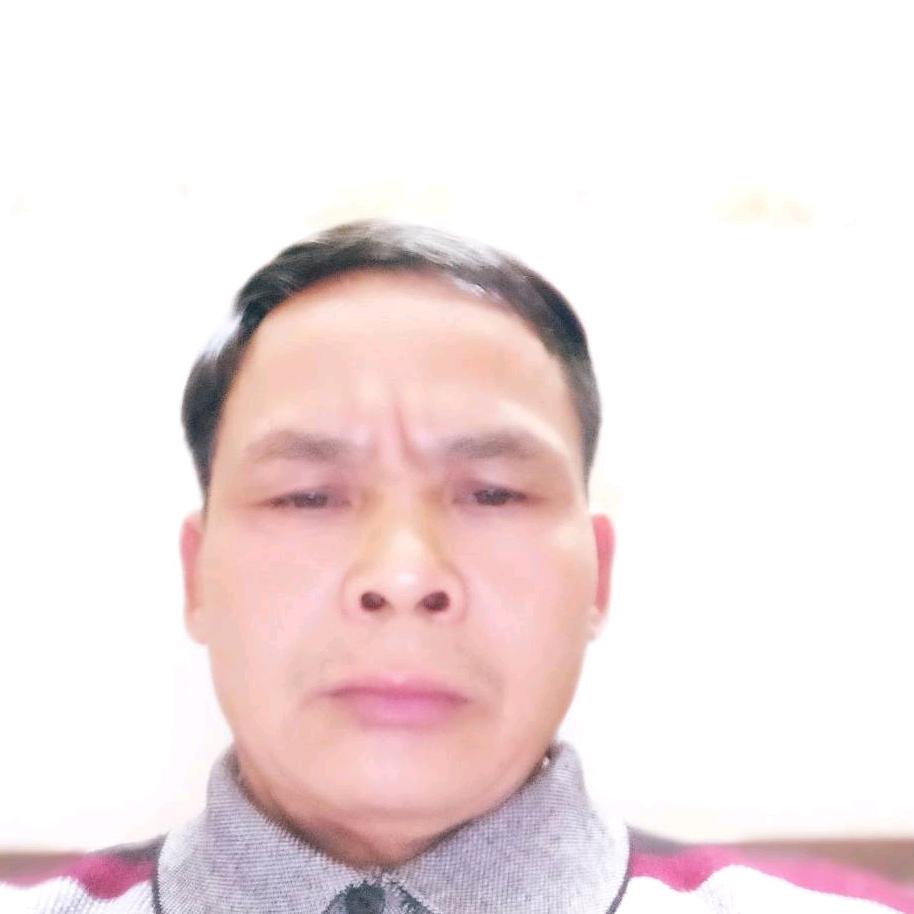 顺风吹帆八哥