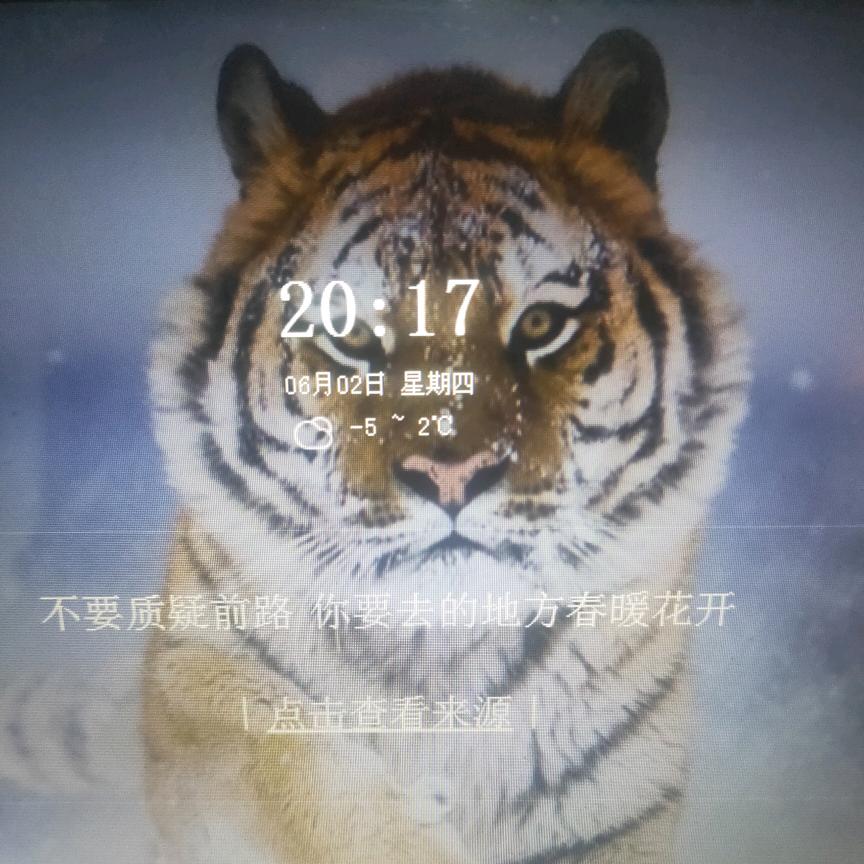 梦回夜未央