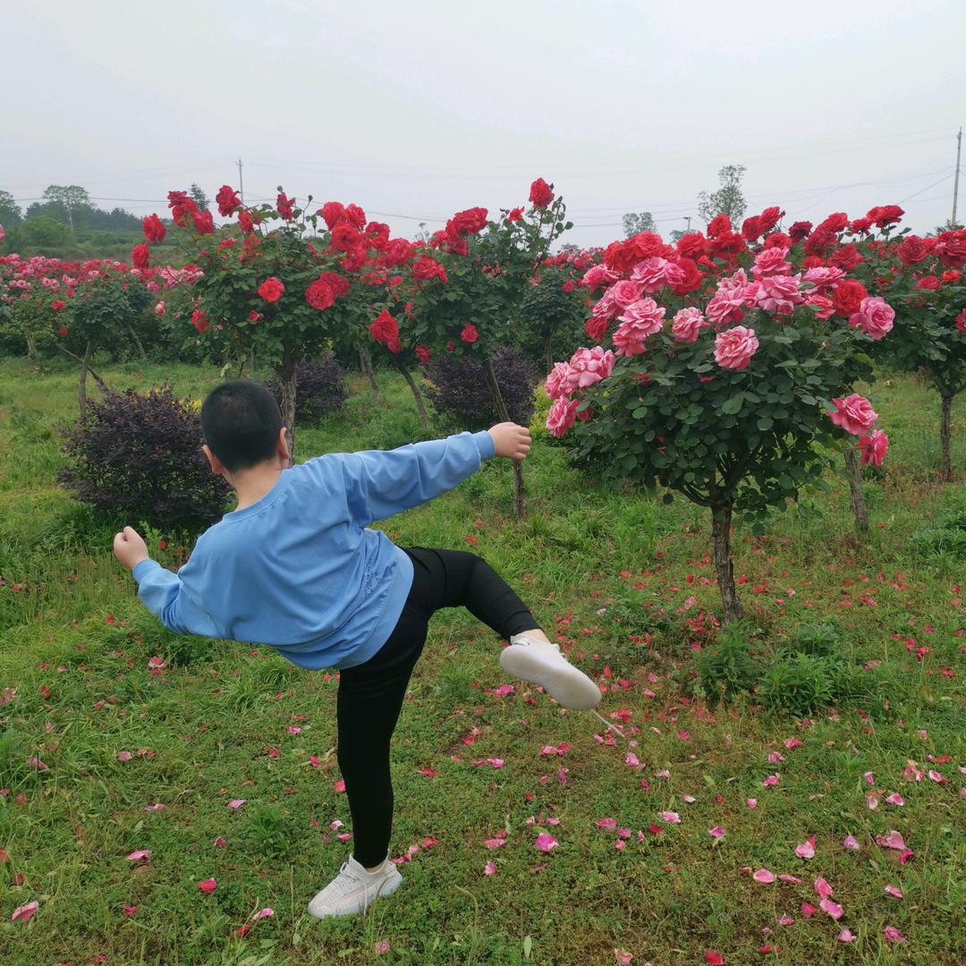 兵哥旅拍