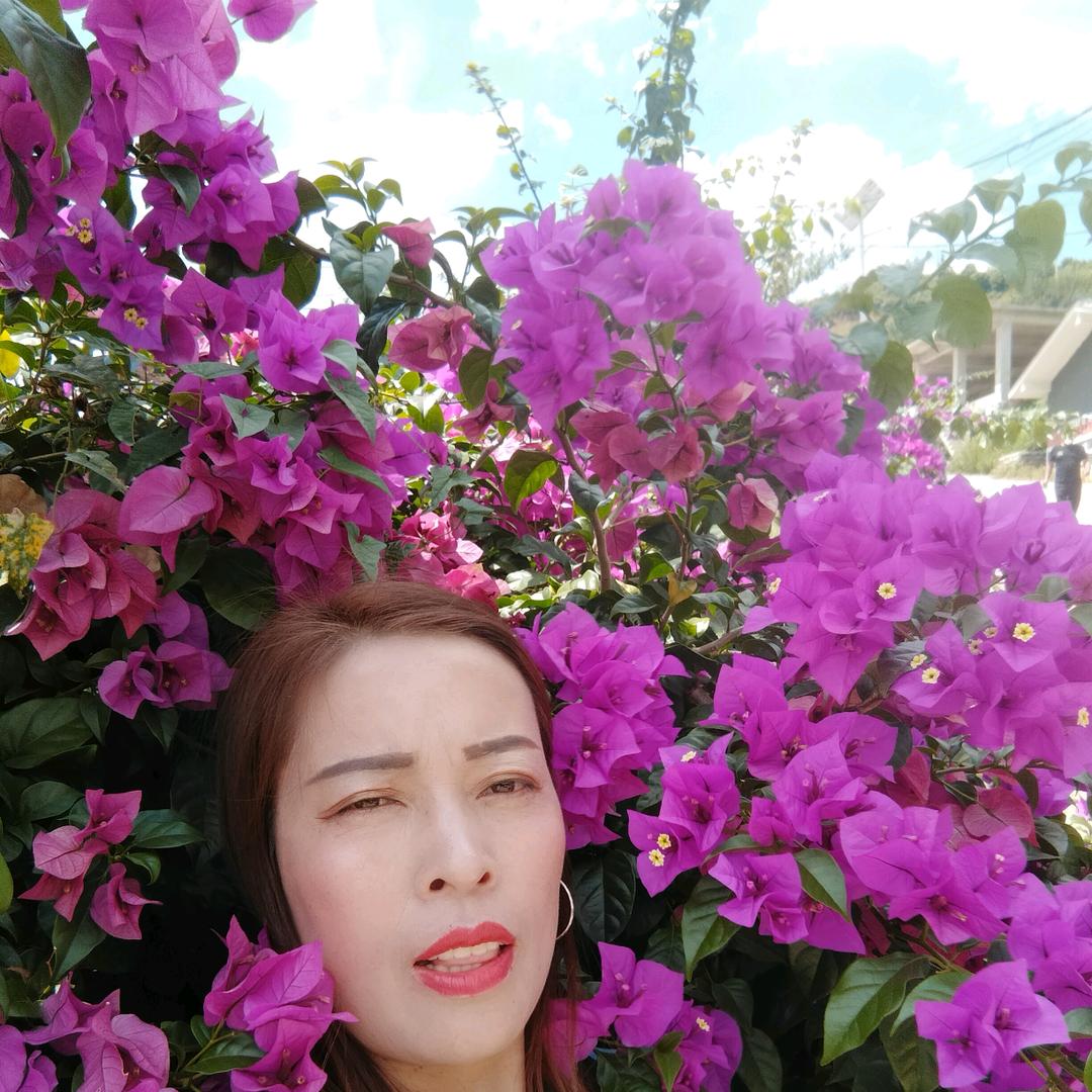 回忆你去想