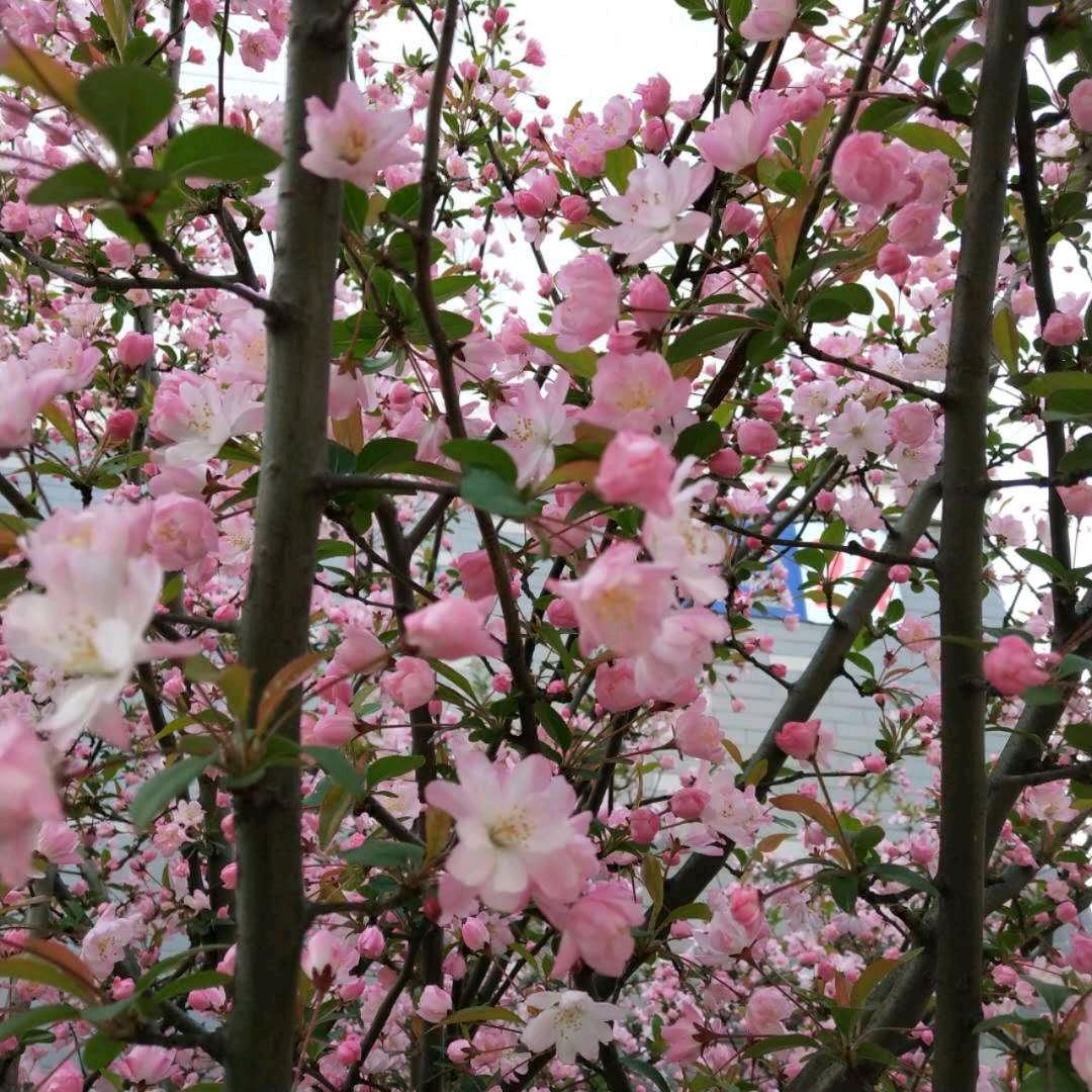 高高兴兴每一天