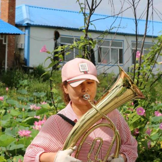 风之歌