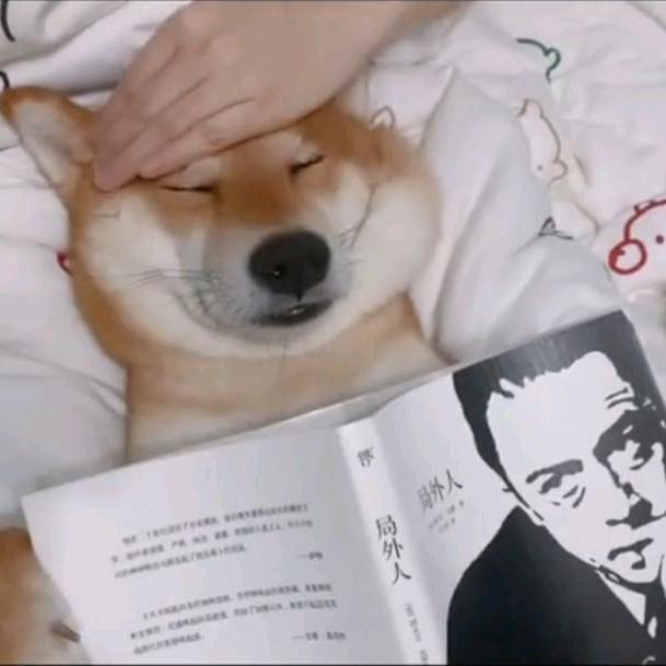 江鱼