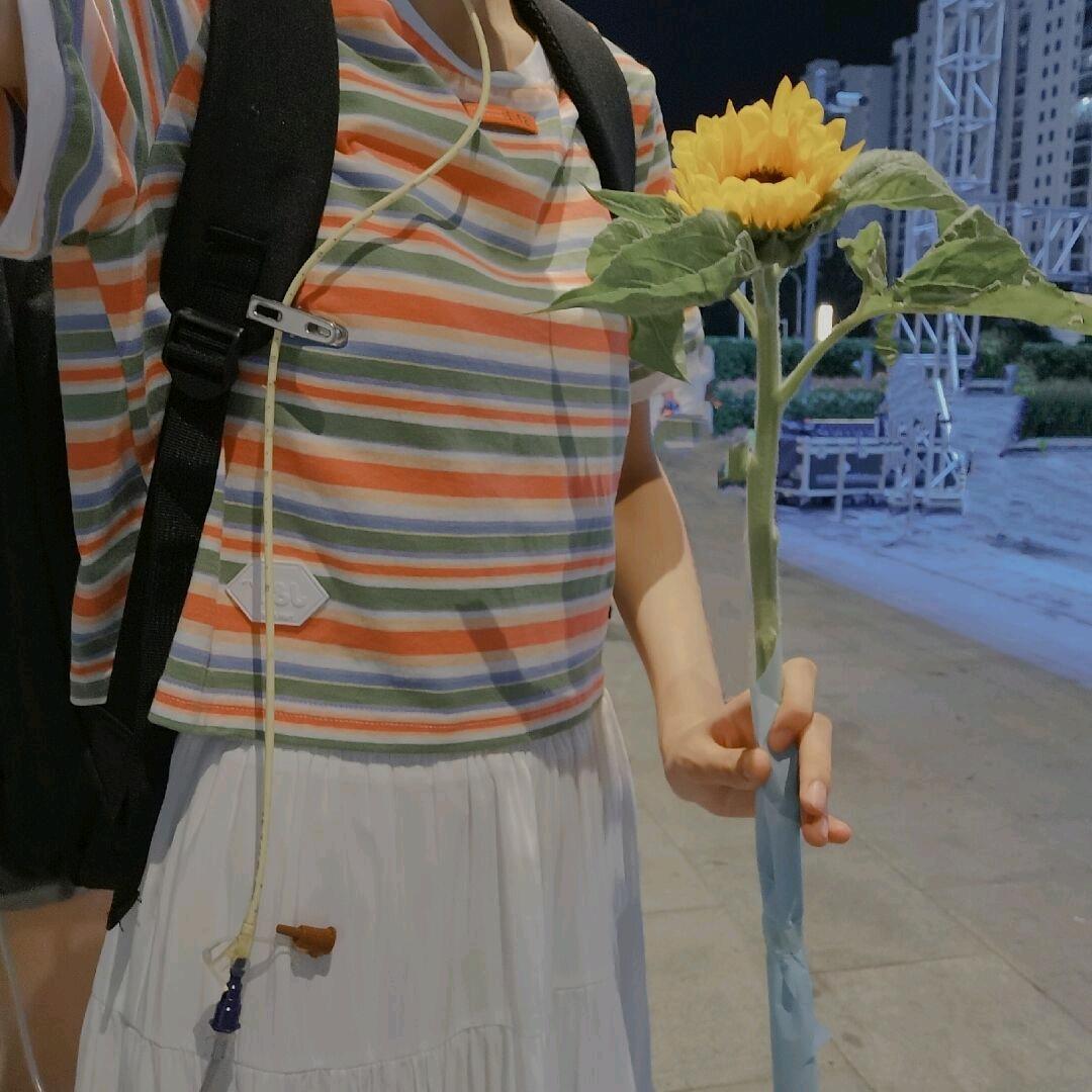 今安向阳