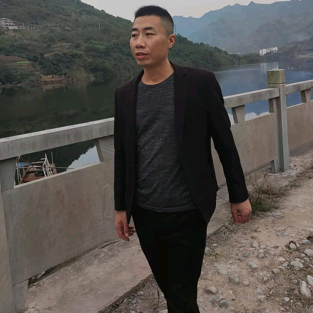 向哥流浪2