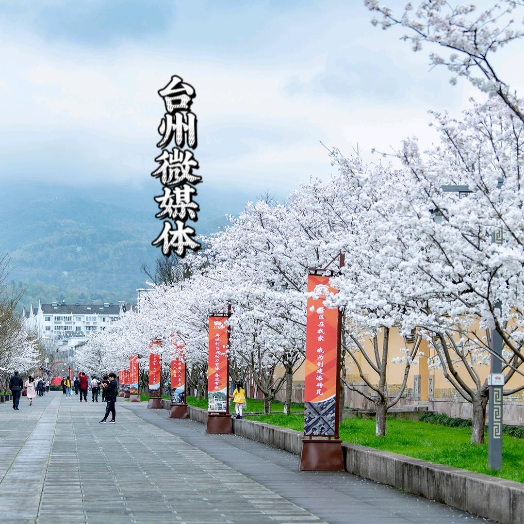 浙台旅游网（旅游频道）